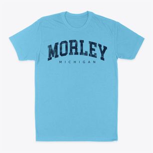 Morley Michigan Urban Vibe Classic Dad T-Shirt