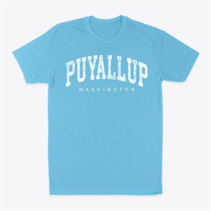 Puyallup Washington Urban Vibe Classic Dad T-Shirt
