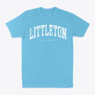 Littleton Illinois Urban Vibe Classic Dad T-Shirt