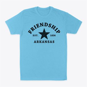 Friendship Arkansas Star Classic Dad T-Shirt