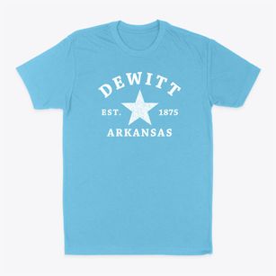 Dewitt Arkansas Star Classic Dad T-Shirt