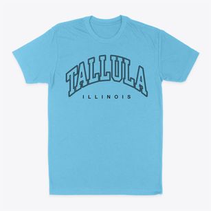 Tallula Illinois Inline Classic Dad T-Shirt