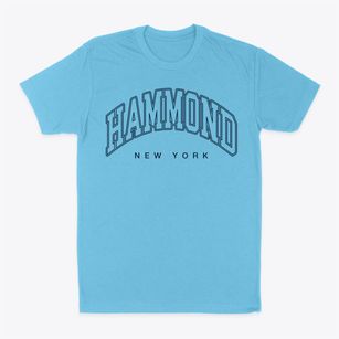 Hammond New York Inline Classic Dad T-Shirt