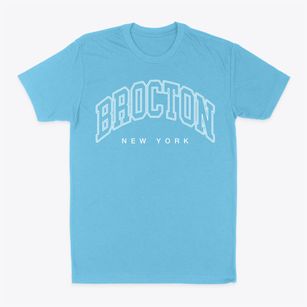 Brocton New York Inline Classic Dad T-Shirt