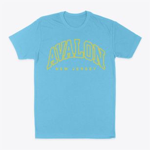 Avalon New Jersey Inline Classic Dad T-Shirt