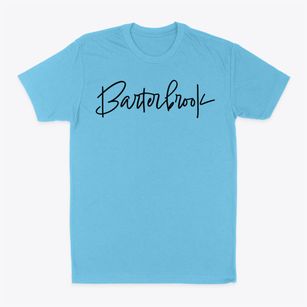 Barterbrook Virginia Freestyle Classic Dad T-Shirt