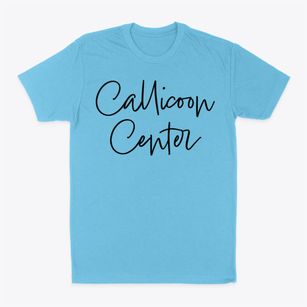 Callicoon Center New York Freestyle Classic Dad T-Shirt
