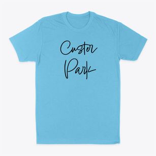 Custer Park Illinois Freestyle Classic Dad T-Shirt