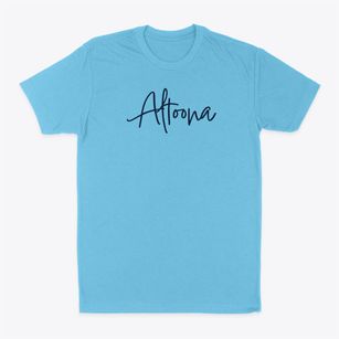 Altoona Iowa Freestyle Classic Dad T-Shirt