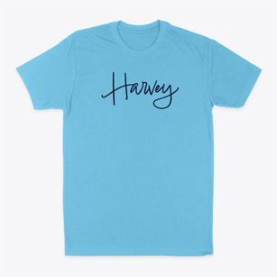 Harvey Iowa Freestyle Classic Dad T-Shirt