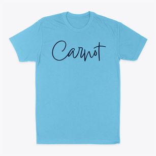 Carnot Virginia Freestyle Classic Dad T-Shirt