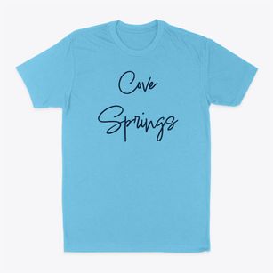 Cove Springs Texas Freestyle Classic Dad T-Shirt