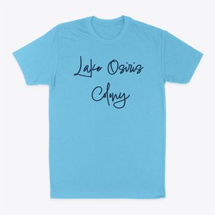 Lake Osiris Colony New York Freestyle Classic Dad T-Shirt