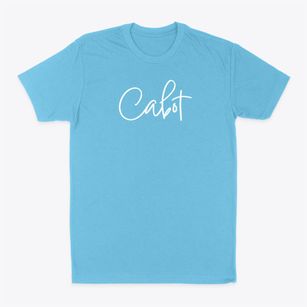Cabot Pennsylvania Freestyle Classic Dad T-Shirt