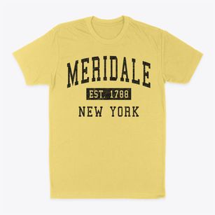 Meridale New York Classic Established Classic Dad T-Shirt
