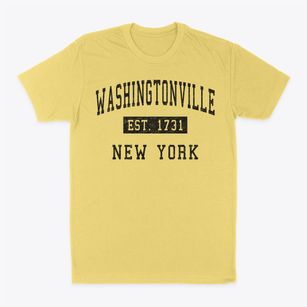 Washingtonville New York Classic Established Classic Dad T-Shirt