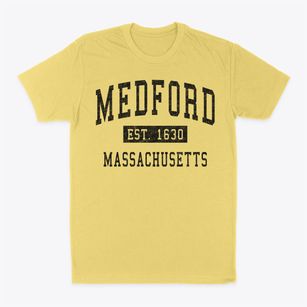 Medford Massachusetts Classic Established Classic Dad T-Shirt