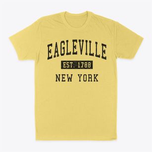 Eagleville New York Classic Established Classic Dad T-Shirt