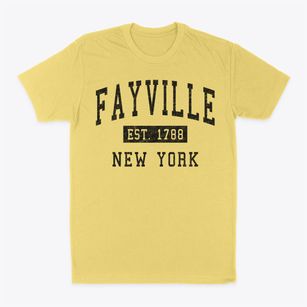 Fayville New York Classic Established Classic Dad T-Shirt