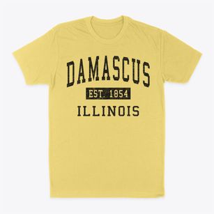 Damascus Illinois Classic Established Classic Dad T-Shirt