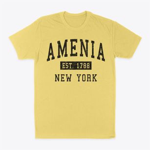 Amenia New York Classic Established Classic Dad T-Shirt