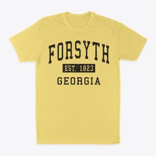 Forsyth Georgia Classic Established Classic Dad T-Shirt