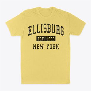Ellisburg New York Classic Established Classic Dad T-Shirt