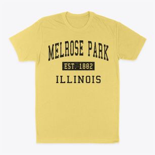 Melrose Park Illinois Classic Established Classic Dad T-Shirt