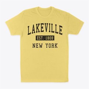 Lakeville New York Classic Established Classic Dad T-Shirt