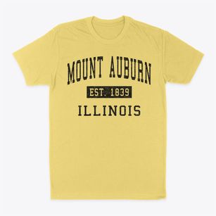 Mount Auburn Illinois Classic Established Classic Dad T-Shirt