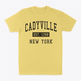 Cadyville New York Classic Established Classic Dad T-Shirt
