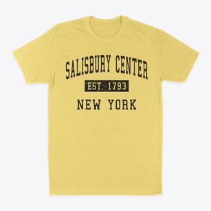 Salisbury Center New York Classic Established Classic Dad T-Shirt