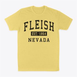 Fleish Nevada Classic Established Classic Dad T-Shirt