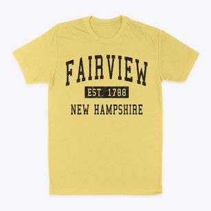 Fairview New Hampshire Classic Established Classic Dad T-Shirt