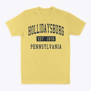Hollidaysburg Pennsylvania Classic Established Classic Dad T-Shirt