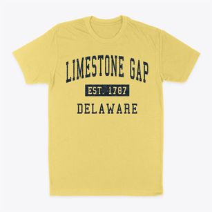 Limestone Gap Delaware Classic Established Classic Dad T-Shirt
