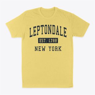 Leptondale New York Classic Established Classic Dad T-Shirt