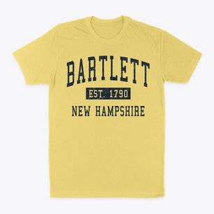 Bartlett New Hampshire Classic Established Classic Dad T-Shirt