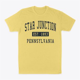 Star Junction Pennsylvania Classic Established Classic Dad T-Shirt