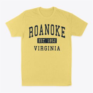 Roanoke Virginia Classic Established Classic Dad T-Shirt