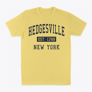 Hedgesville New York Classic Established Classic Dad T-Shirt