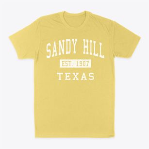 Sandy Hill Texas Classic Established Classic Dad T-Shirt