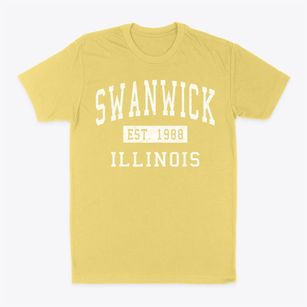 Swanwick Illinois Classic Established Classic Dad T-Shirt