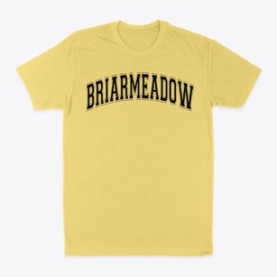 Briarmeadow Varsity Arch Classic Dad T-Shirt