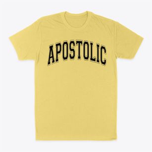 Apostolic Academy Varsity Arch Classic Dad T-Shirt