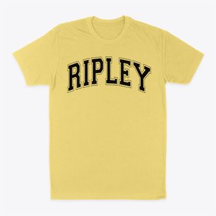 Ripley Middle School Varsity Arch Classic Dad T-Shirt
