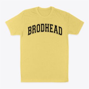 Brodhead Middle School Varsity Arch Classic Dad T-Shirt