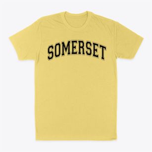 Somerset Educational Service Varsity Arch Classic Dad T-Shirt