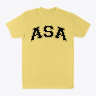 Asa Academy Varsity Arch Classic Dad T-Shirt