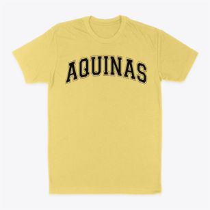 Aquinas High School Varsity Arch Classic Dad T-Shirt